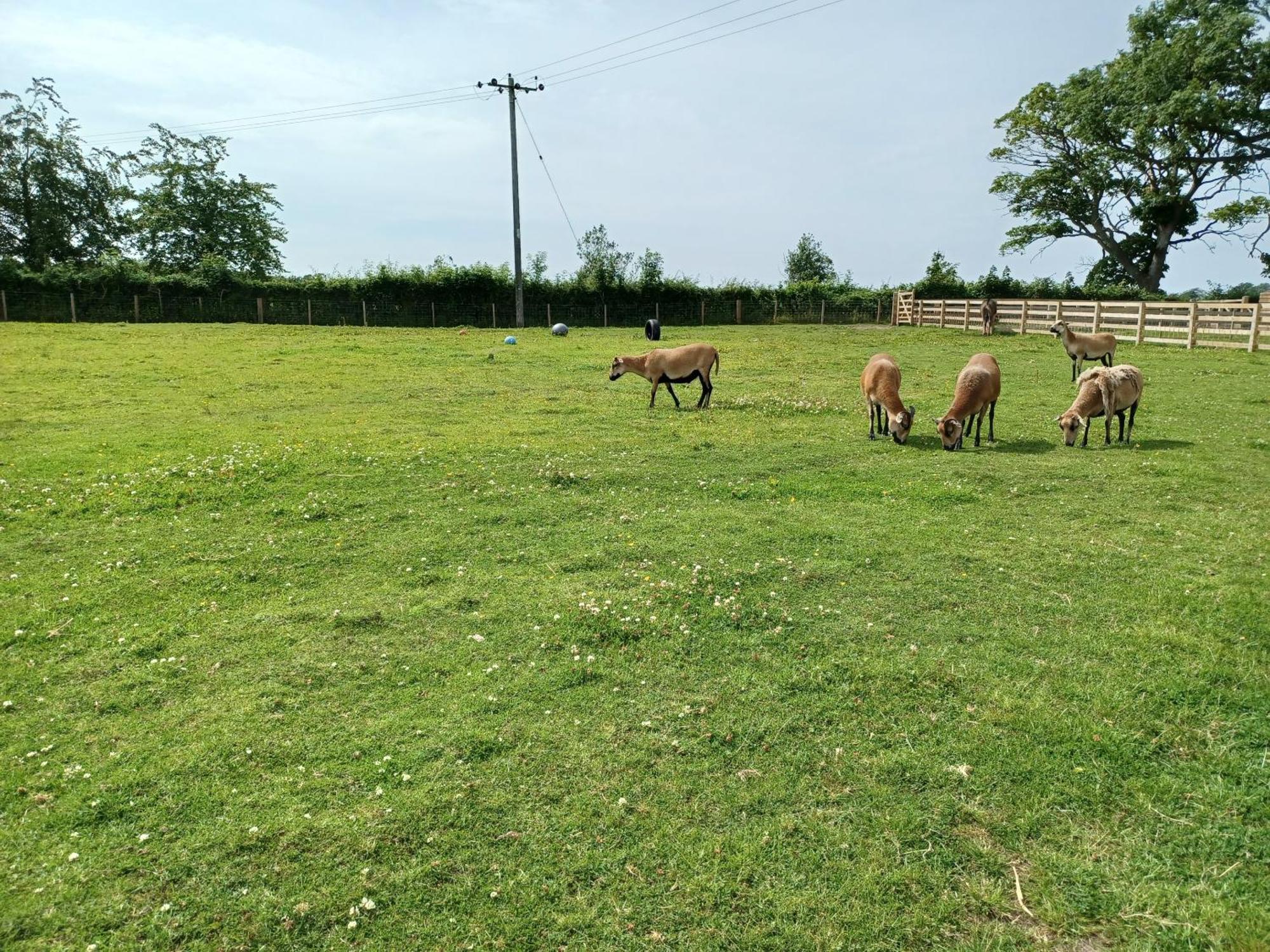 Green View Lodges Wigton エクステリア 写真